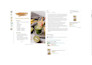 do amazon SEO listing optimization and fba product description copywriting
